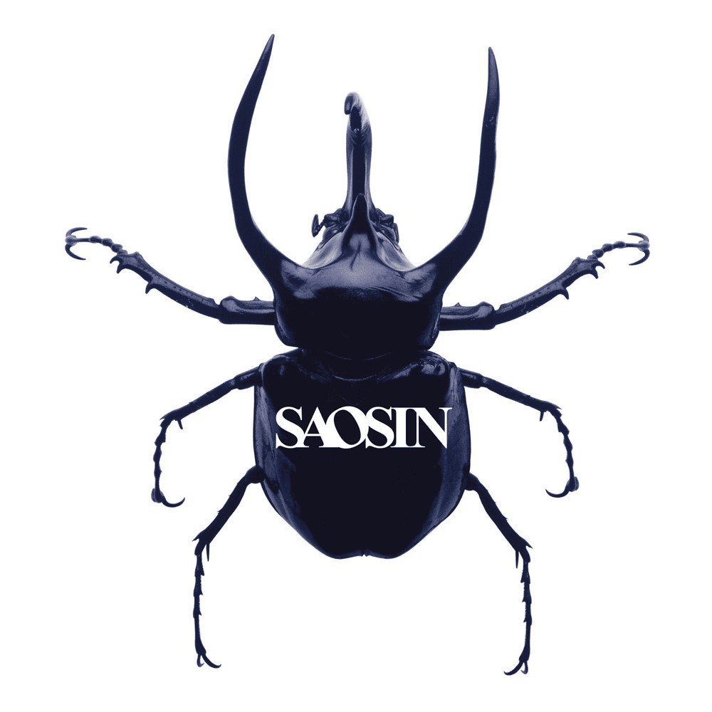 Official beetle artwork for Saosin's self-titled debut album